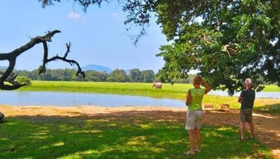 Crocodile Park Bungalow Kataragama Buitenkant foto