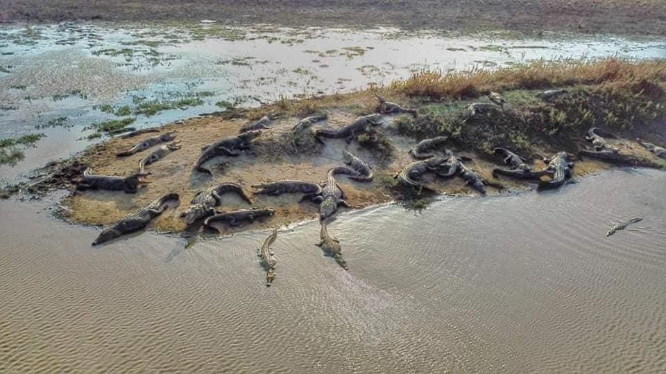 Crocodile Park Bungalow Kataragama Buitenkant foto